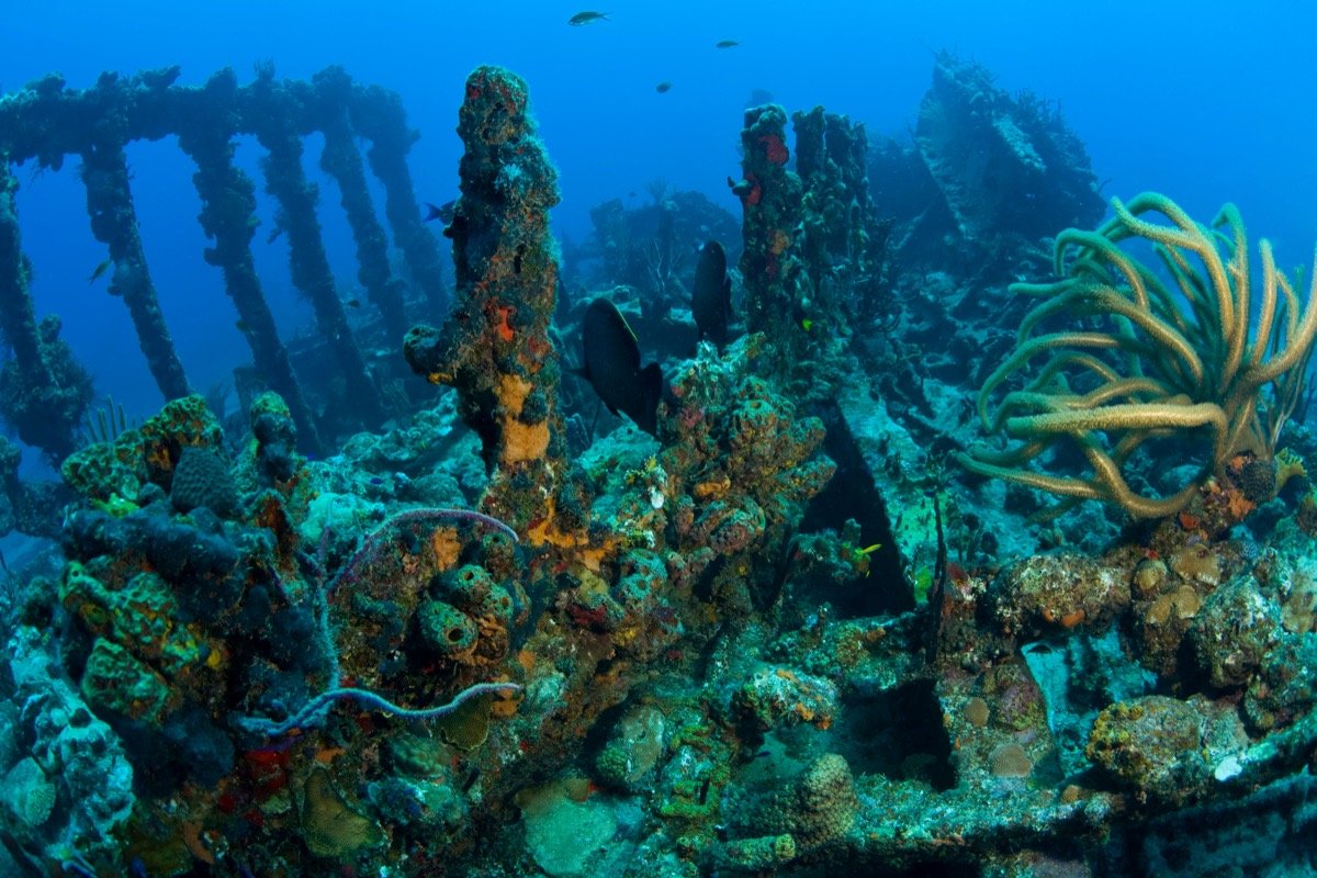 RMS Rhone Wreck - Kosher Sailing
